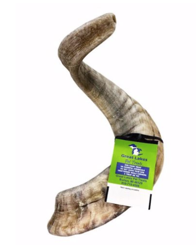 Great Lakes Lamb Horn SM/MED
