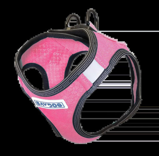 Baydog Small Dog Pink Lemonade Liberty Bay Harness