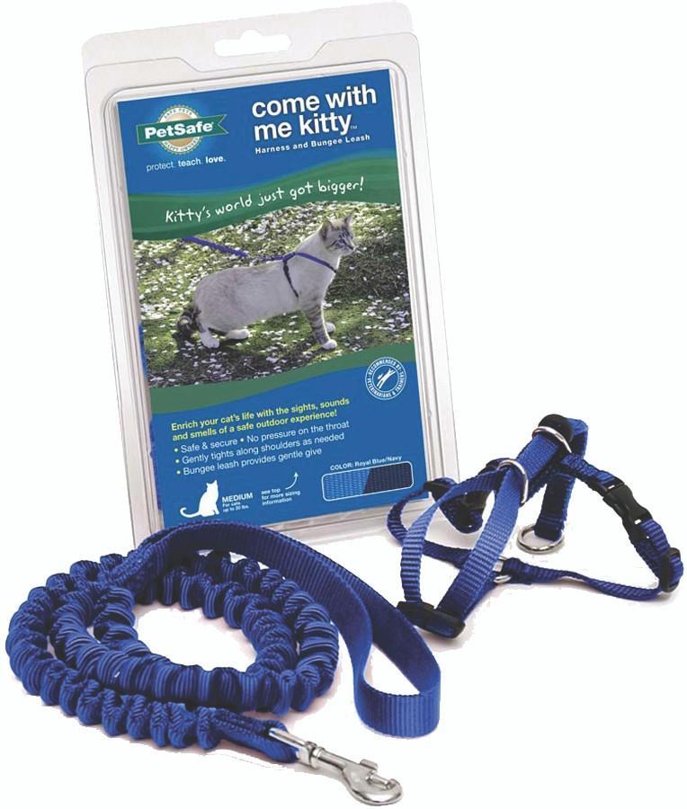 Come With Me Kitty Cat Harness & Bungee Leash MD Royal Blue