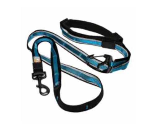Kurgo Quantum Adjustable Length Dog Leash - 72"