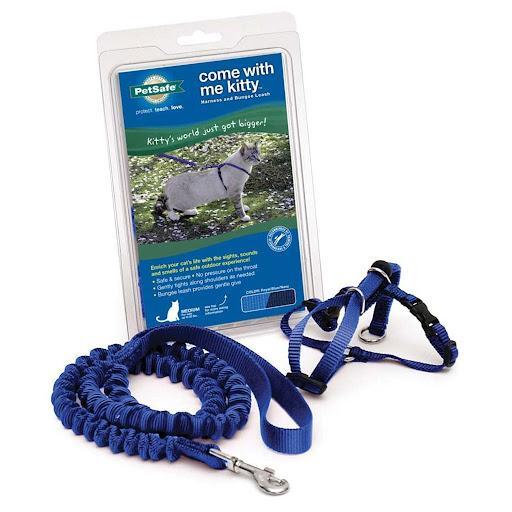 Come With Me Kitty Cat Harness & Bungee Leash Royal Blue SM Copy