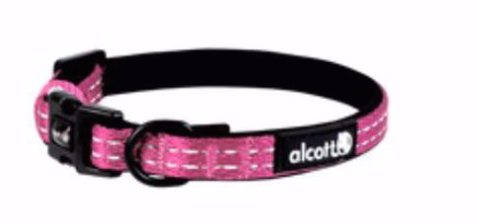 Alcott Adventure Nylon Collar - Pink MD