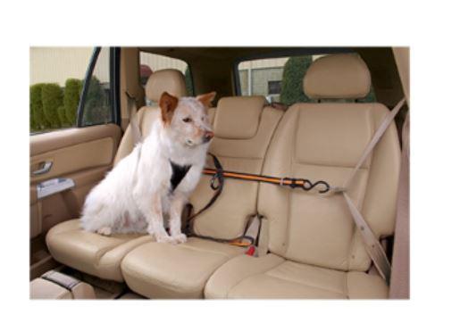 Kurgo Dog Auto Zip Line Leash Black