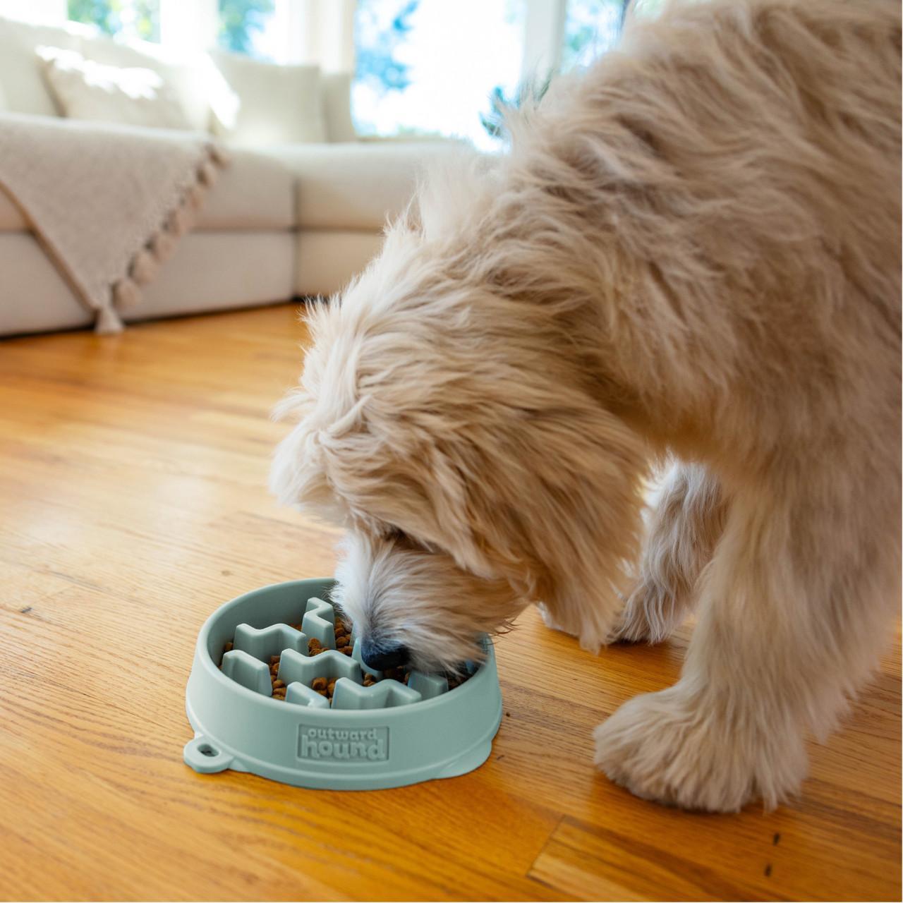 Outward Hound Fun Feeder Notch Slow Feeder Bowl Sage MD