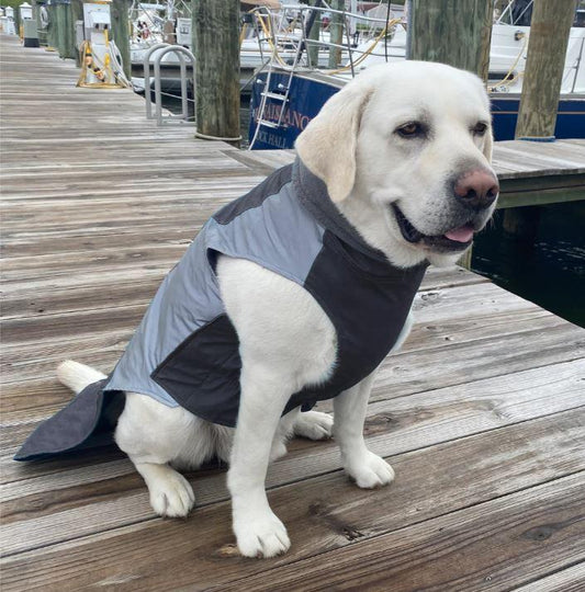 BayDog Charcoal Glacier Bay Winter Coat S