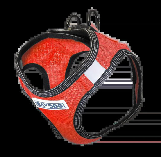Baydog Small Dog Clifford Red Liberty Bay Harness