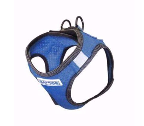 BayDog Harness Liberty Bay Blue SM