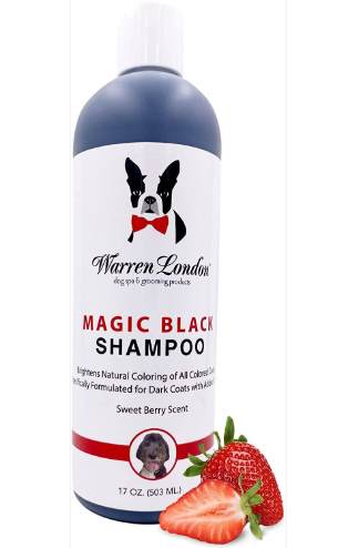 Warren London Magic Black Brightening Shampoo Berry 17z