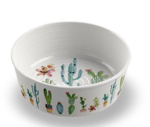Tarhong Cactus Pet Bowl Medium