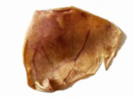 Ethical Pet Pig Ear