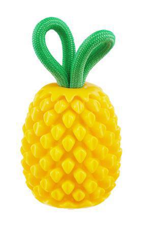 Outward Hound Pineapple Dental Chew Toy and Interactive Treat Stuffer