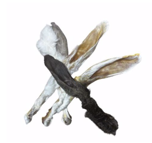 Great Lakes Rabbit Ear w/ Hair