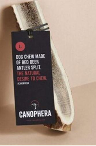 Canophera Red Deer Antler Chew LG