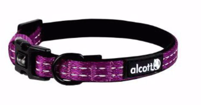 Alcott Adventure Nylon Dog Collar - Purple LG