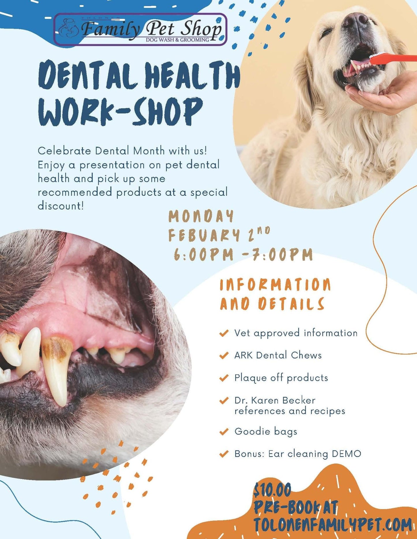 Doggy Dental Workshop