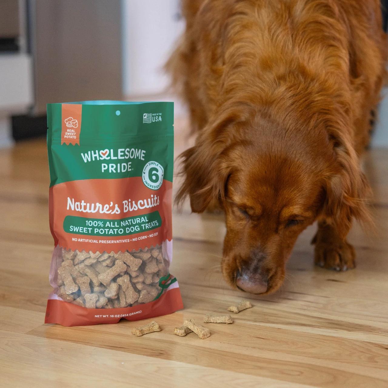 Outward Hound Biscuit Bone Sweet Potato Treats 16oz