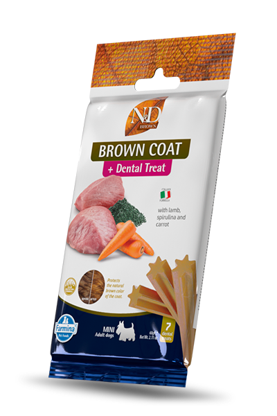 Farmina 3.5 oz Dog Lamb Brown Coat Med Maxi Dental Treat
