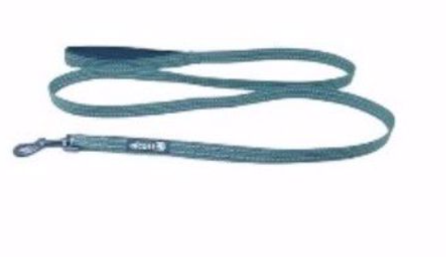 Alcott 6ft Adventure Nylon Leash - Hunter Green SM