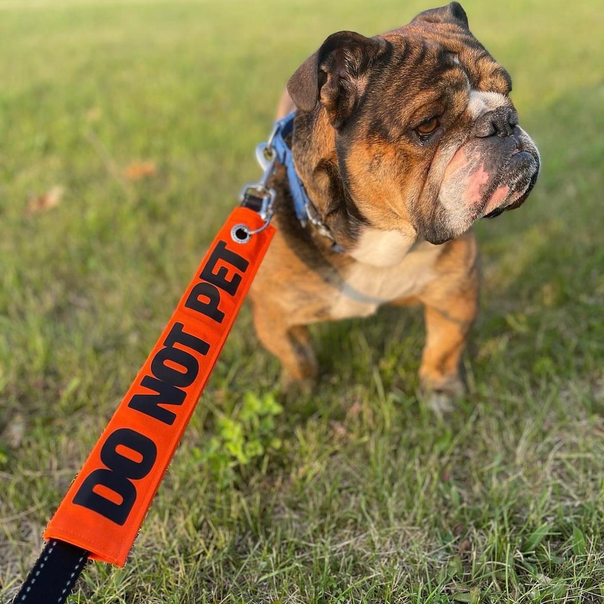 Leash Sleeve LG "Tricks for Treats"