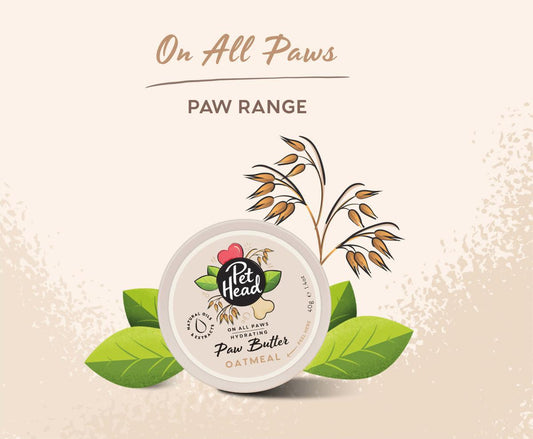 Pet Head Oatmeal Paw Butter 1.4oz