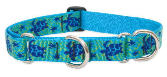 Lupine 1" Martingale Turtle 15"-22"