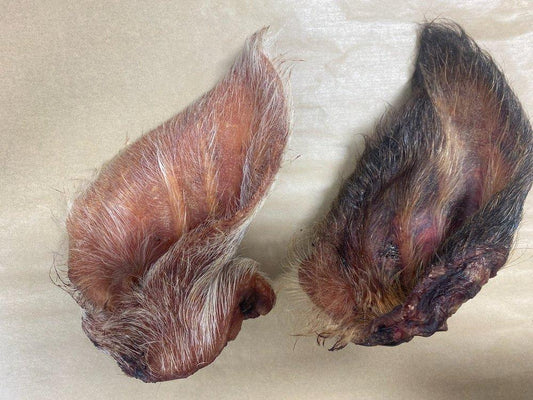 WTR Pig Ear w/ Hair