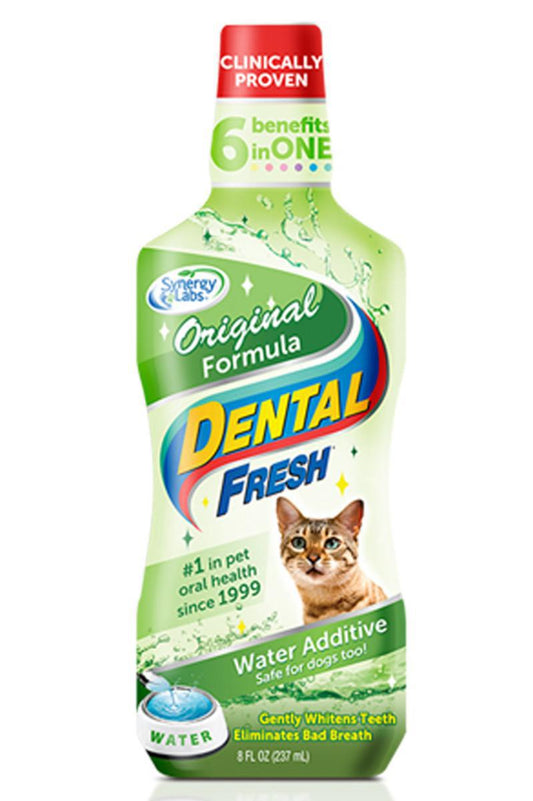 Synergy Labs Dental Fresh Original 8oz Cat