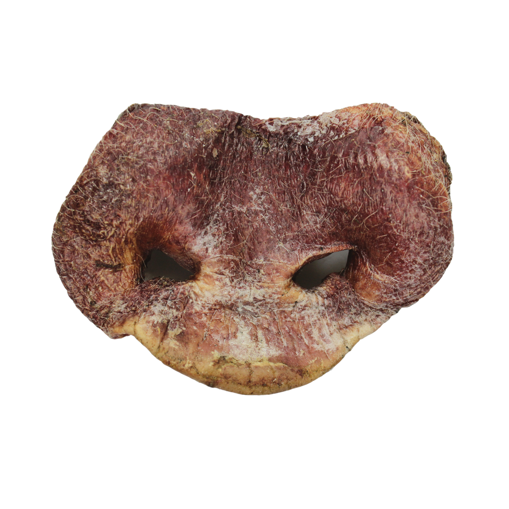 VE Pig Snout