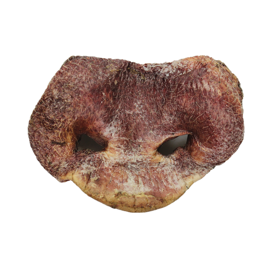 VE Pig Snout