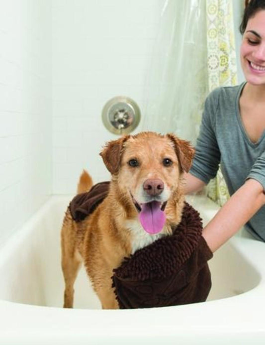DGS Dog Shammy Brown