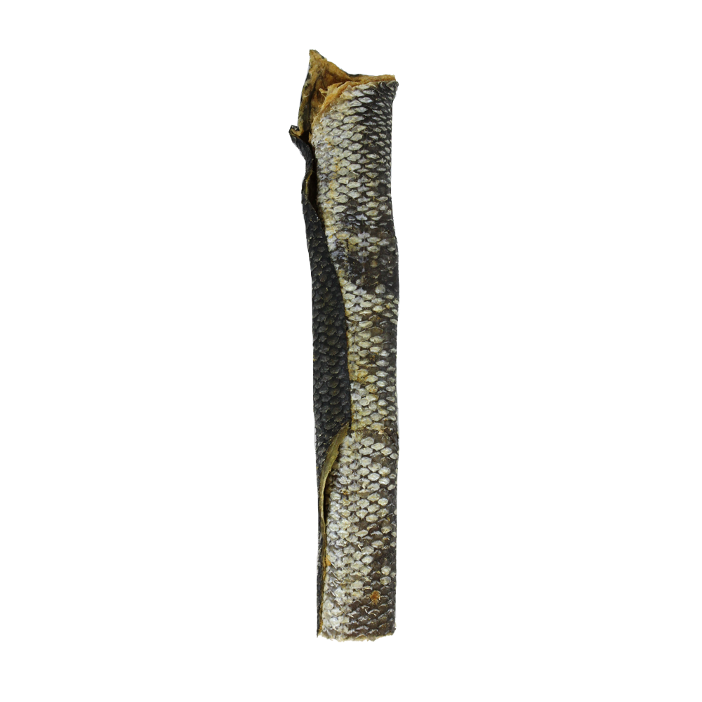 VE Salmon Skin
