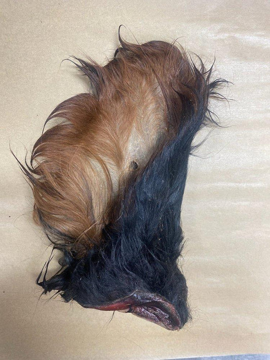 WTR Beef Ear w/ Hair