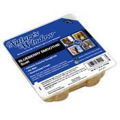 NW Blueberry Smoothie Suet 11.25oz