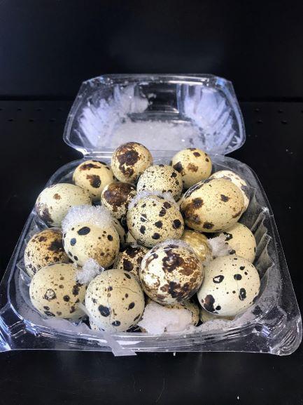 WTR Quail Eggs 1 dozen
