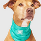 Canada Pooch Cooling Bandana Green Smiley SM