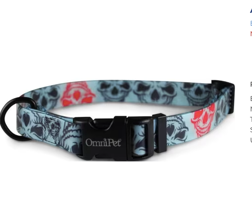 Attitudz Skull Dog Collar 18x26"