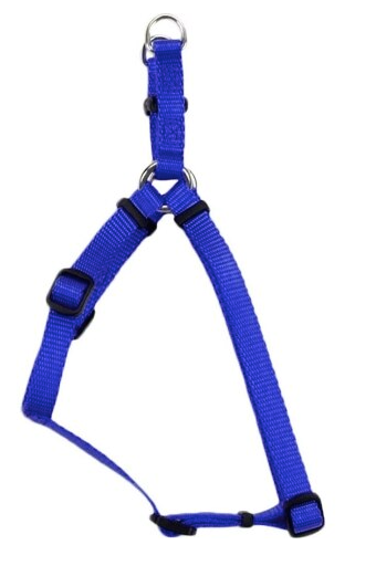 Coastal 3/8" Adjustable Harness Blue 12"-18"