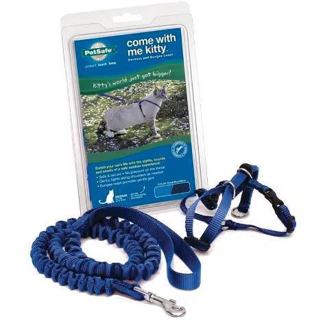 Come With Me Kitty Cat Harness & Bungee Leash Royal Blue