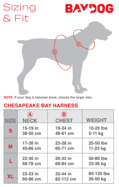 BayDog Harness Chesapeake Sea Foam LG