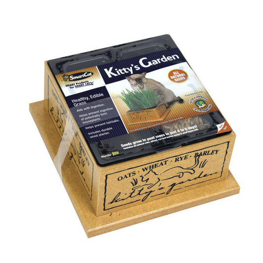 Smart Cat Garden Grass Box