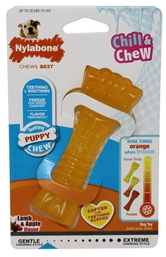 Nylabone Freezer Bone Lamb/Apple Regular