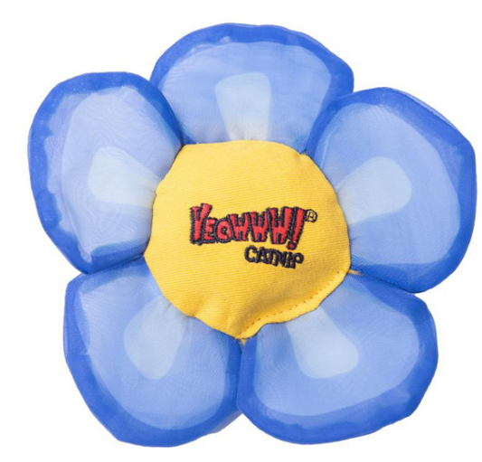 Yeowww! Daisy's Flower Top Blue