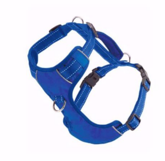 Baydog Chesapeake Harness Blue Large
