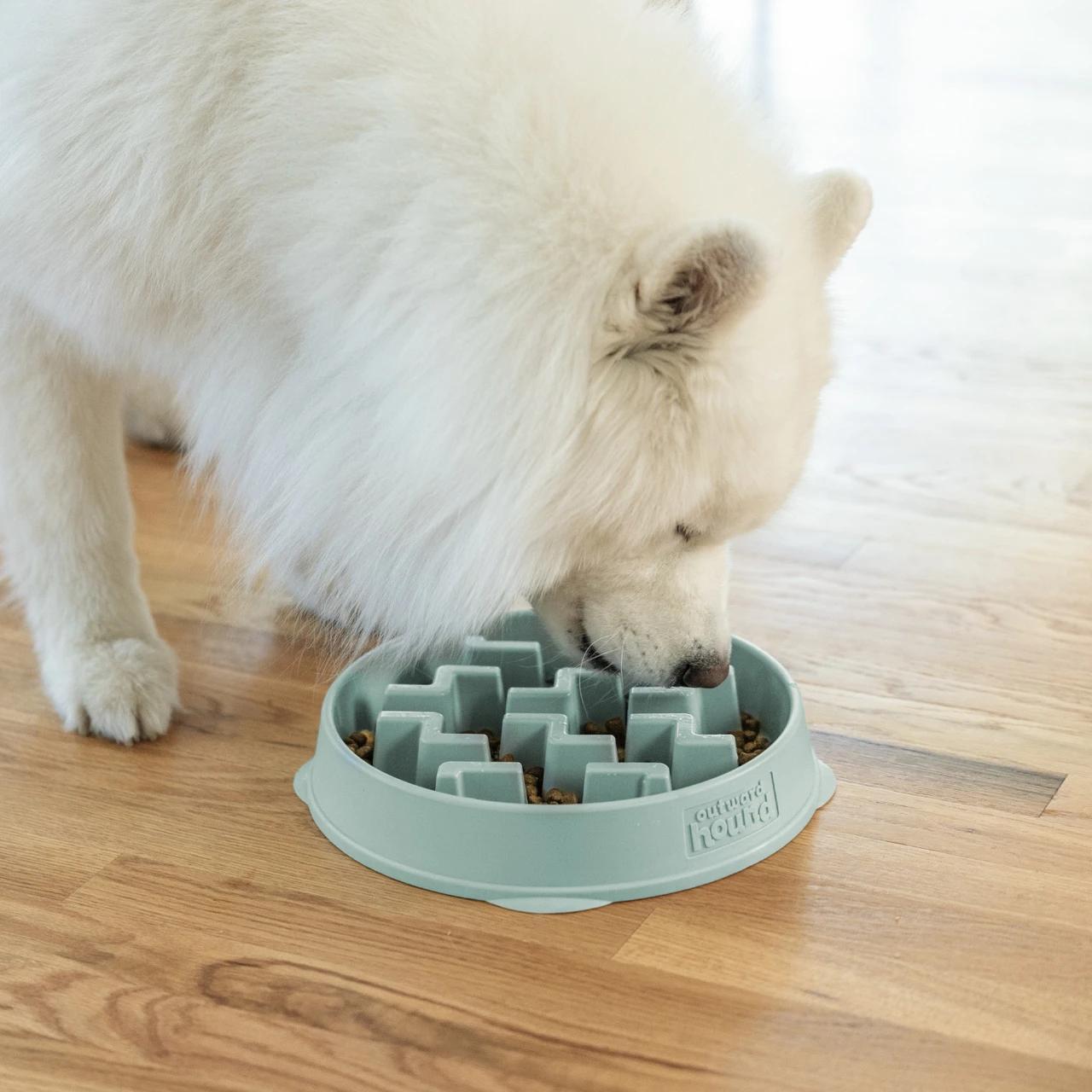 Outward Hound Fun Feeder Notch Slow Feeder Bowl Sage LG