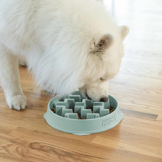 Outward Hound Fun Feeder Notch Slow Feeder Bowl Sage LG