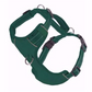 BayDog Harness Chesapeake Forest Green MD