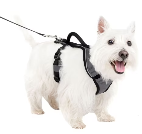 PetSafe EasySport Harness Charcoal SM