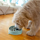 Outward Hound Fun Feeder Notch Slow Feeder Bowl Sage MD