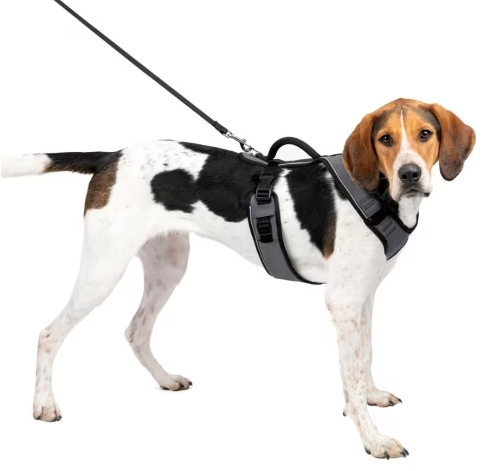 PetSafe EasySport Harness Charcoal LG