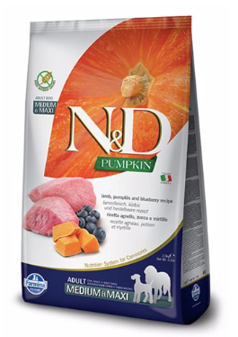 N&D Lamb Pumpkin Med 5.5#